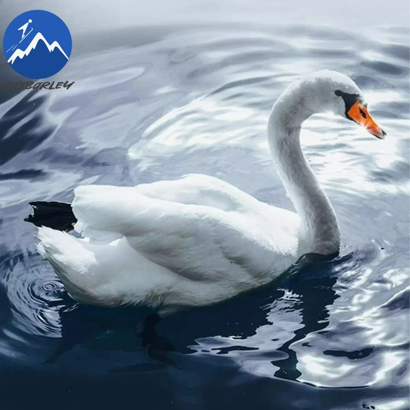 معطف صوفي للرجال من Maxbarley سميك للعمل في الهواء الطلق، سترات مبطنة دافئة من ريش الإوز، سترات شتوية خفيفة الوزن للسفر