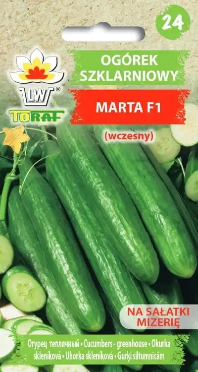 Greenhouse cucumber Marta F1 vegetable cucumber seeds 1G-TORAF