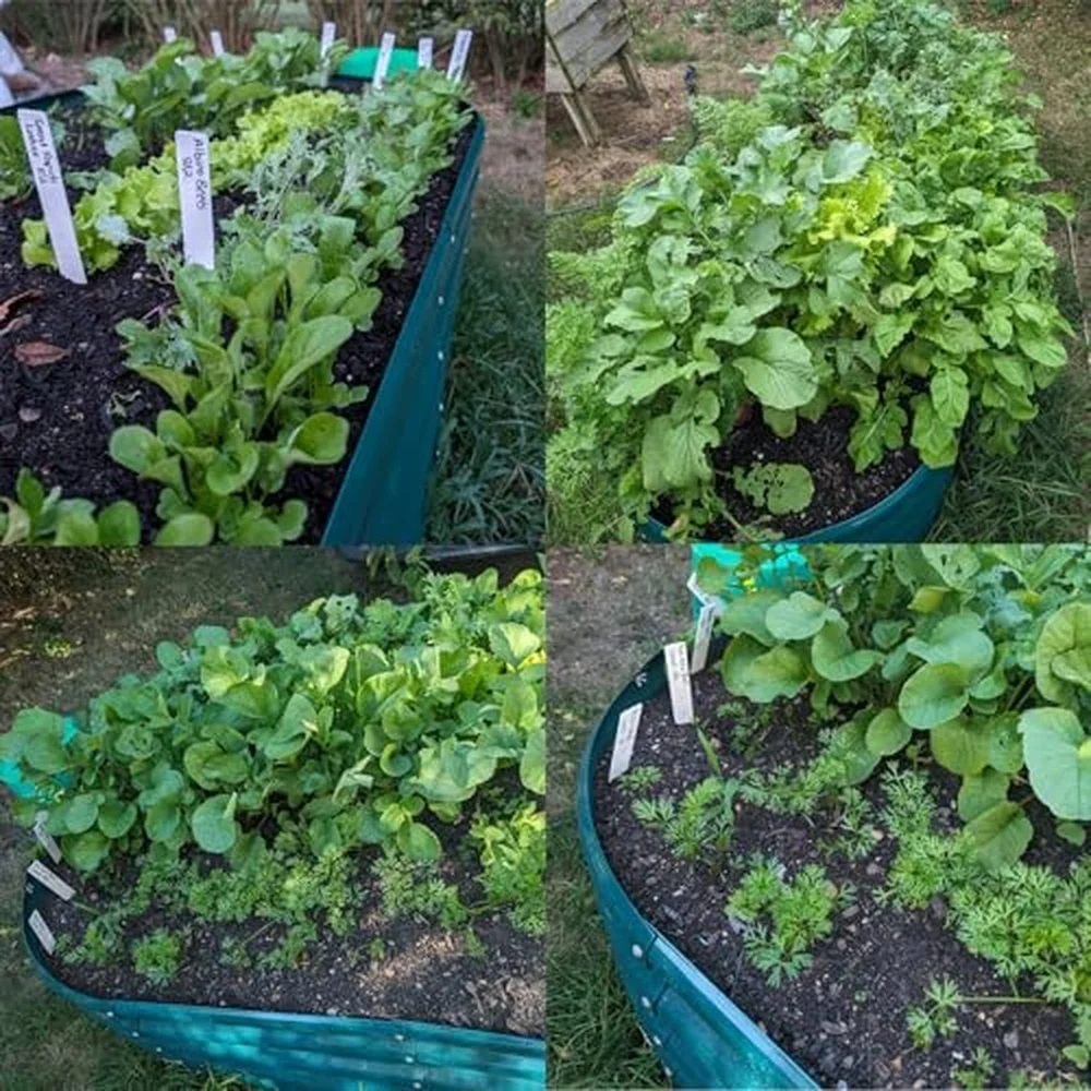 8x3x2ft Galvanized Raised Garden Bed 24