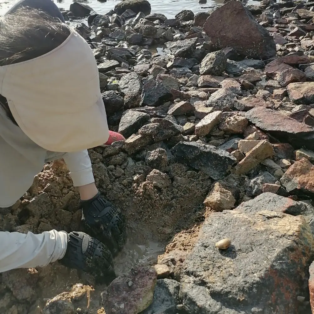Guantes de excavación de jardín, herramientas de excavación de almeja, guantes esenciales para peinar en la playa, herramientas de exploración en la costa, guantes de supervivencia