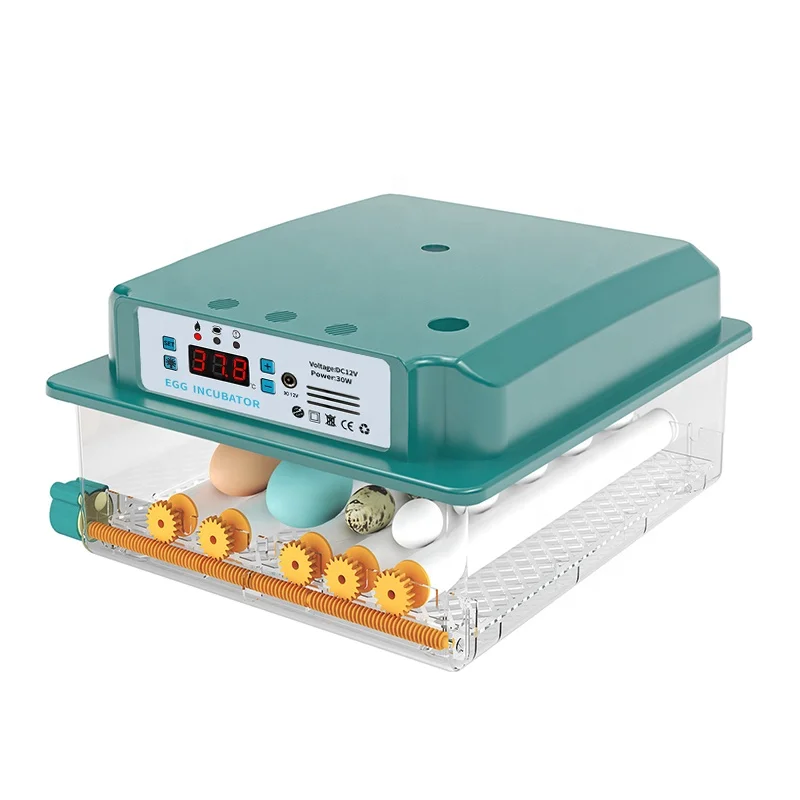 64 Egg Dual Power Supply New Home Use Small Chicken & Duck Hatching Incubator with Automatic Egg Turning and 98% Hatching Rate