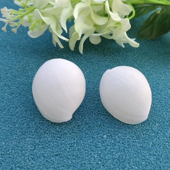 Natural Shell Conch Beads Charm Oval With Holes Loose Spacer Beads For DIY Jewelry Making Home Decoration Crafts Accessories