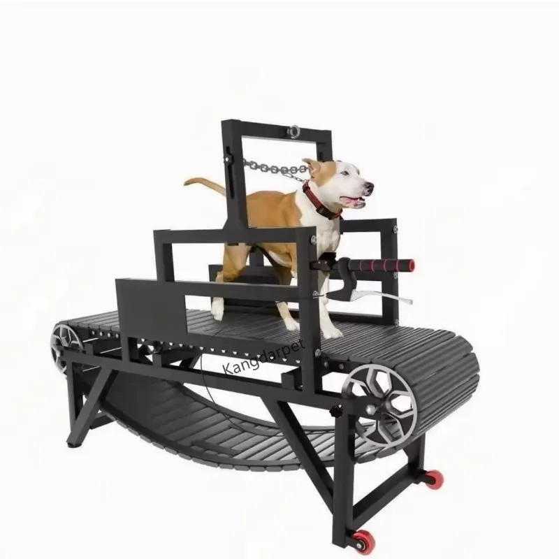 Cinta de correr plegable profesional para perros pequeños/grandes | Máquina para correr para mascotas con velocidad ajustable | Equipo de rehabilitación y formación