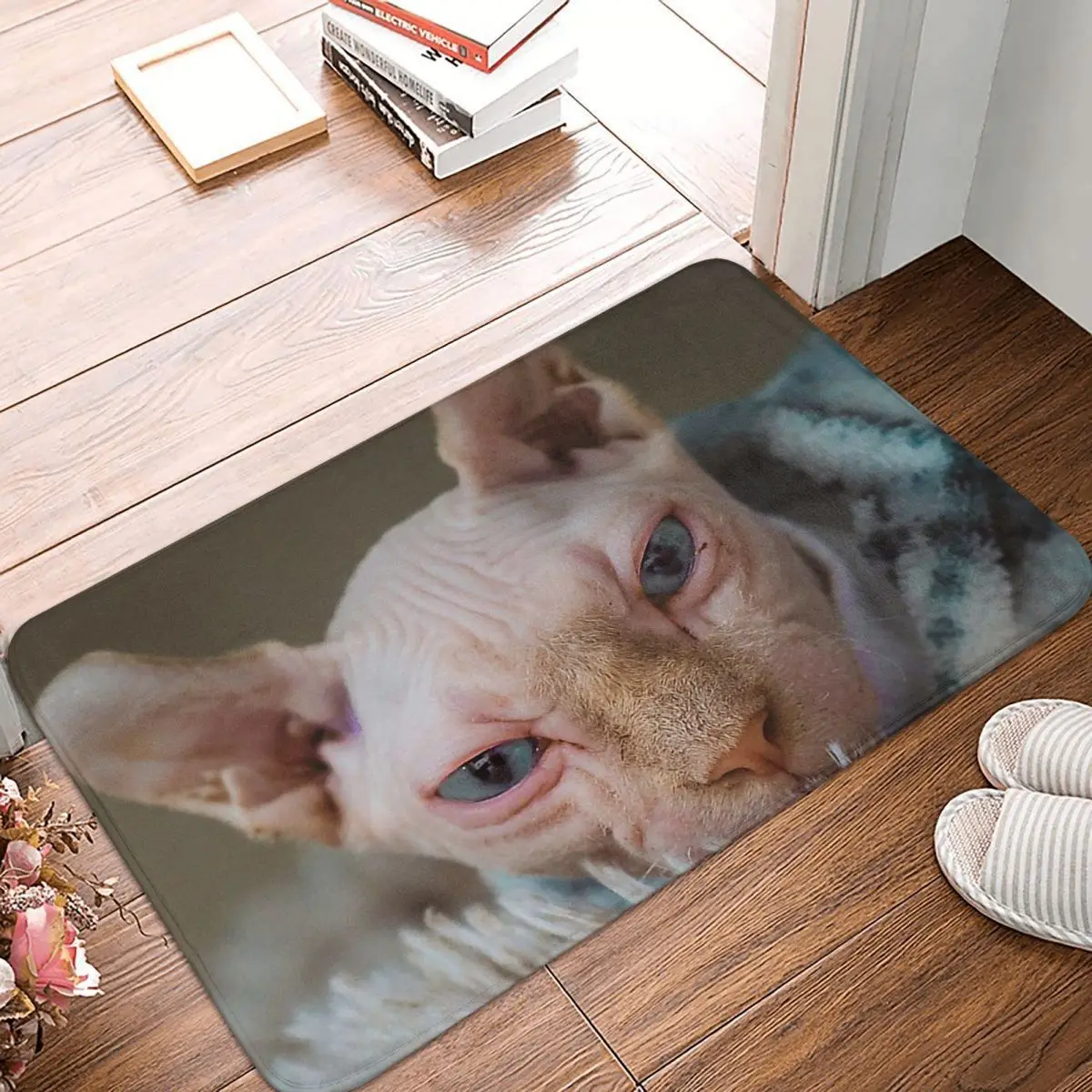 Sphynx Hairless Cat Bath Mat Sphynx Cat Doormat Flannel Carpet Entrance Door Rug Home Decoration