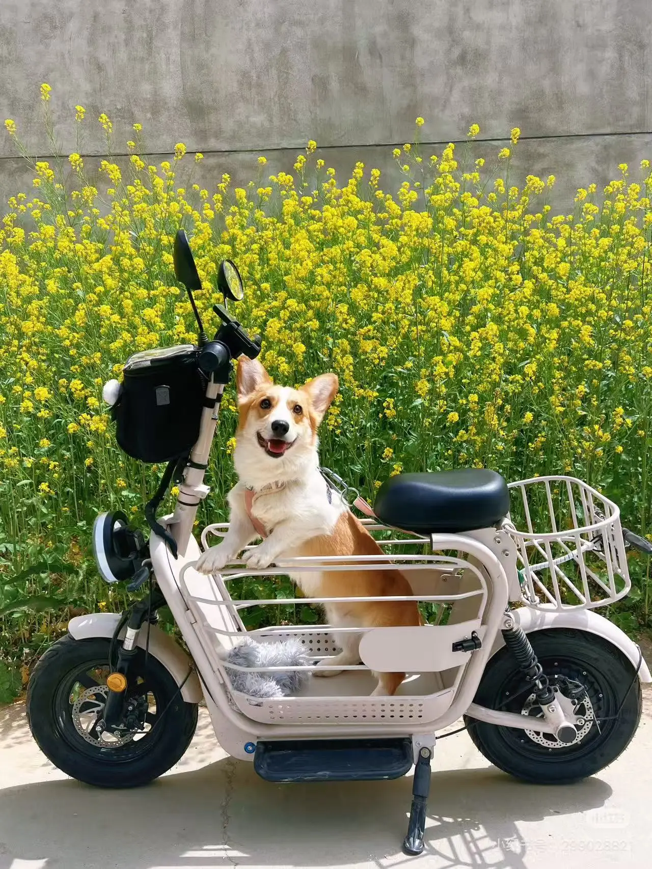 14 Inch Foldable Dual Motor Electric Scooter Two Seats Long Range Portable Vehicle With Pet Storage Space