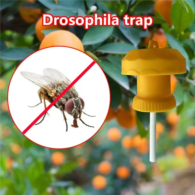 【CYBER MONDAY】Fruit Fly Trap Bugs Trap Catcher Insect Control Farm Orchard Fruit Fly Trap Farm Orchard