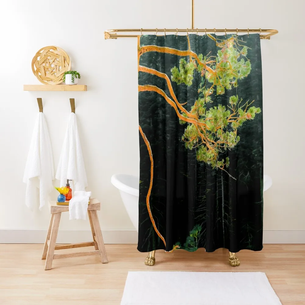 

closeup green pine tree in the wood at Lake Tahoe, USA Shower Curtain Cover Bathroom Deco Luxury Bathroom Curtain