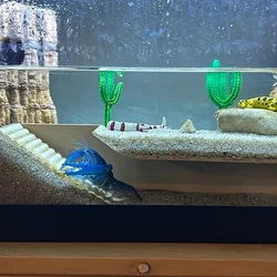 Aquarium Underground Shrimp Tunnel/Observation Hidden Window