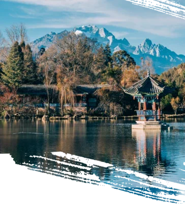 حامل هاتف السيارة قاعدة يتصاعد الخاصة لتويوتا لاند كروزر LC300 2022 منفذ الهواء الثابت قوس قاعدة الملحقات مع الكرة 17 مللي متر