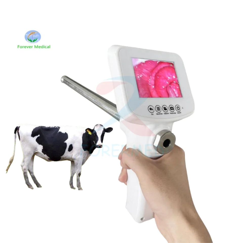 

Veterinary AI Digital Visible Artificial Insemination Endoscope Recording Device Cown Artificial Insemination for Cattle