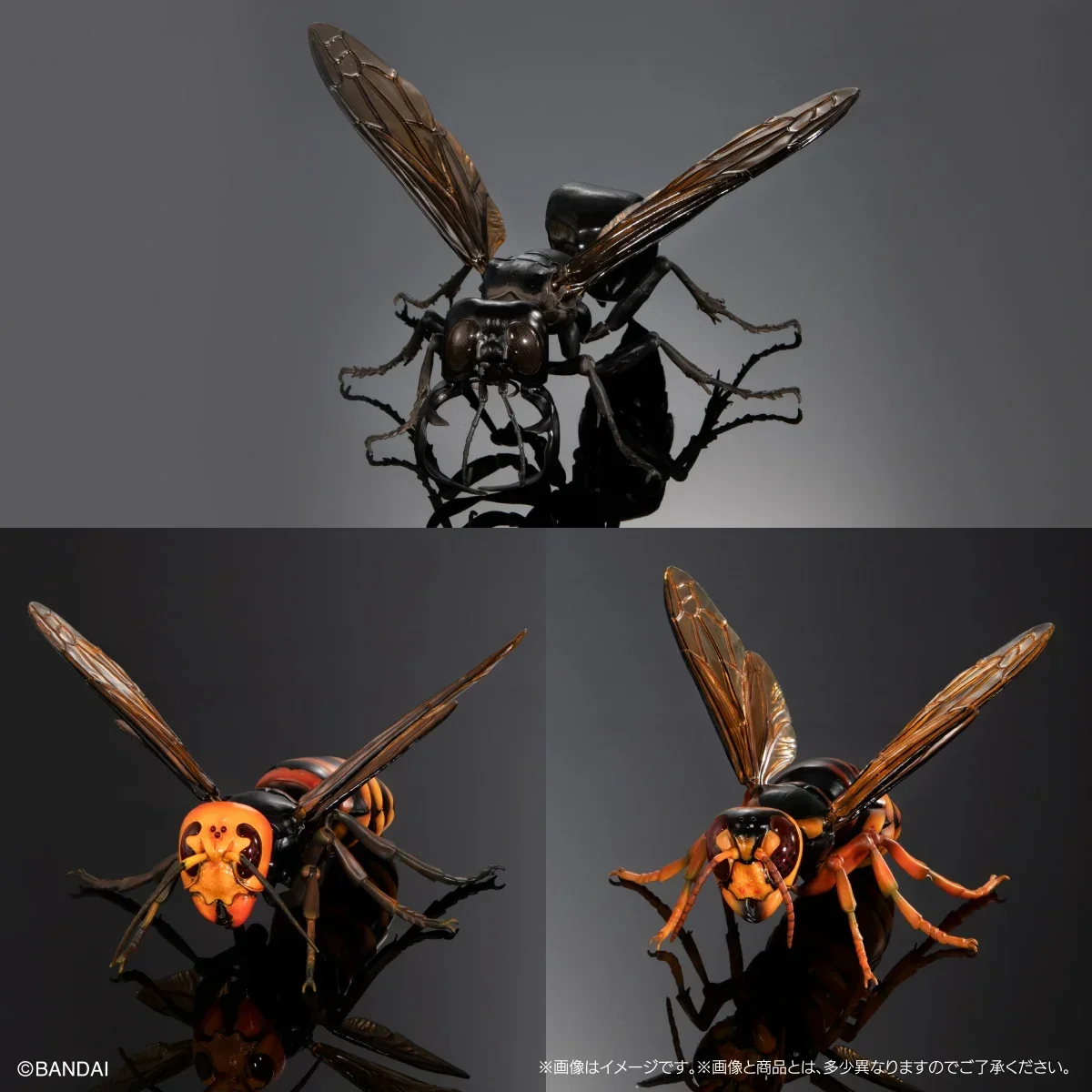 Bandai Twisted Eggsd Toys Biological Picture Wasp 2