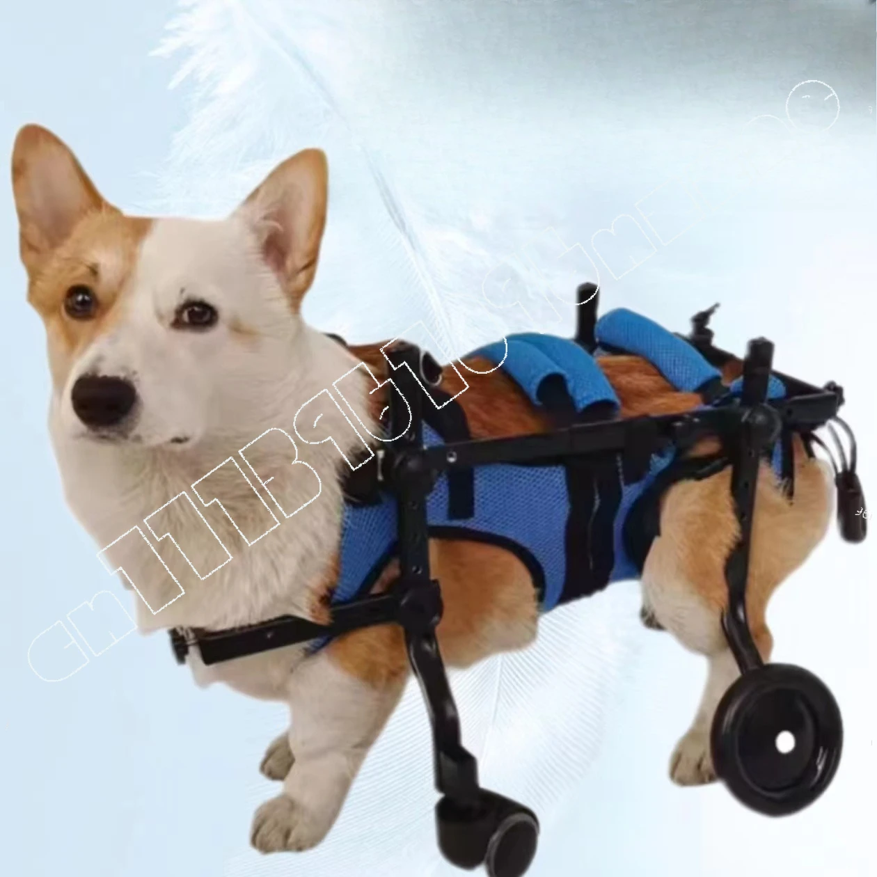 

Dog Wheelchair Pet Hindlimb Disability Paralysis Rehabilitation Wheelchair Dog Rehabilitation Vehicle Animal Assist Stand