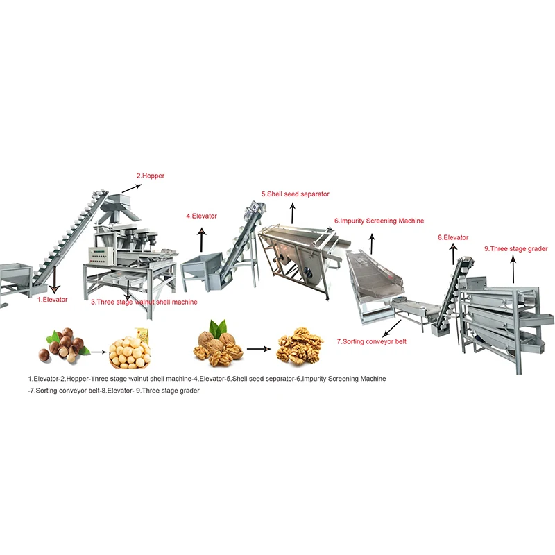 High-Efficiency Almond Nut Processing Plant Roasting Production Line Nut Processing Plant for Wholesales