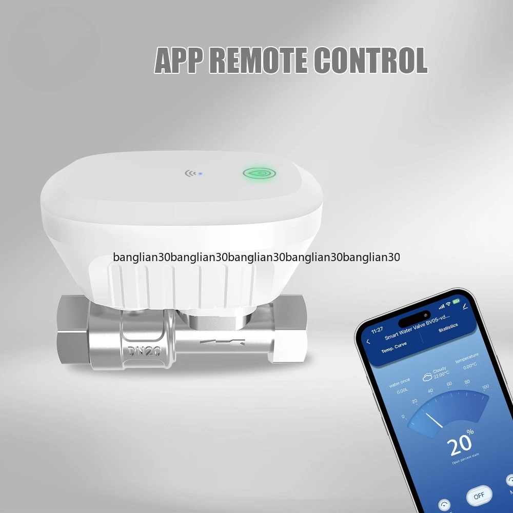 

Intelligent Timing Water, Water Leakage DetectionController Solenoid Valve