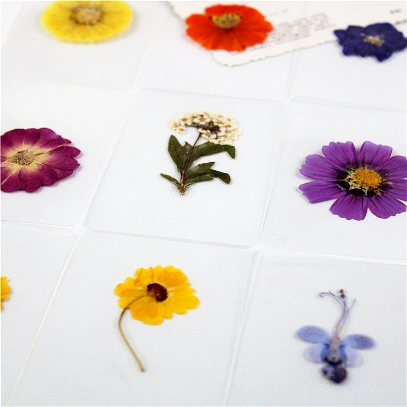 Overplastic dry flower embossing plastic herbarium Overplastic bookmark True leaf recognition Leaf flower cursive handwriting