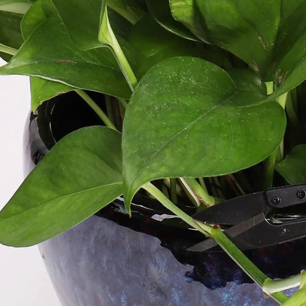 12 قطعة مقص الأزهار التشذيب المقصات حديقة تشذيب أداة مجموعة شفرات قوية من الفولاذ المقاوم للصدأ سهلة الاستخدام للزهور والنباتات