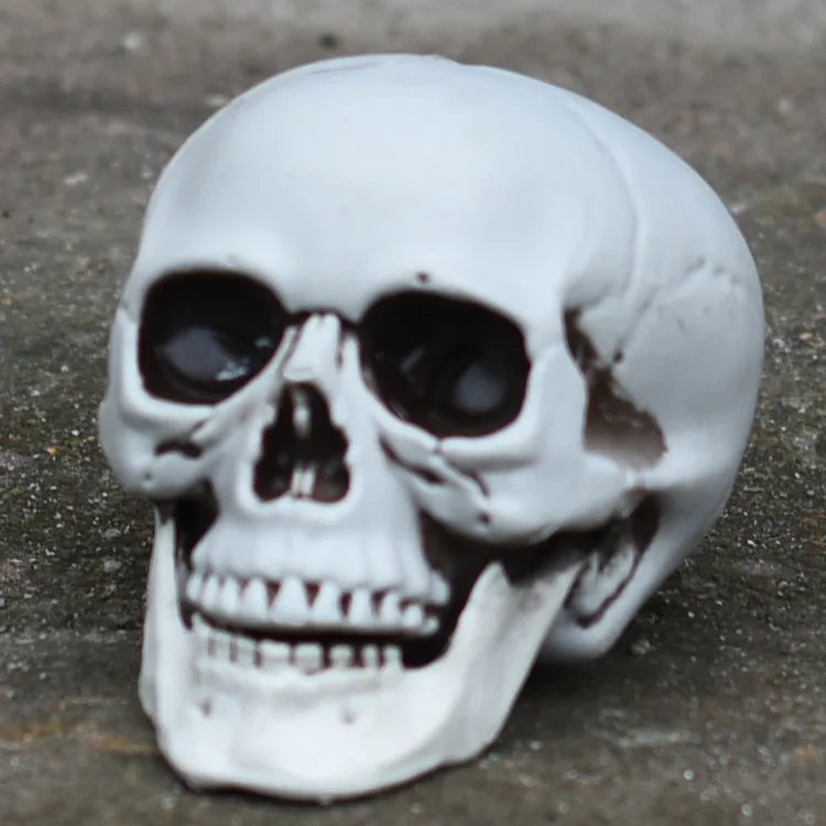 

Skull, Halloween bone model bar haunted house secret room horror ornament cosplay decoration