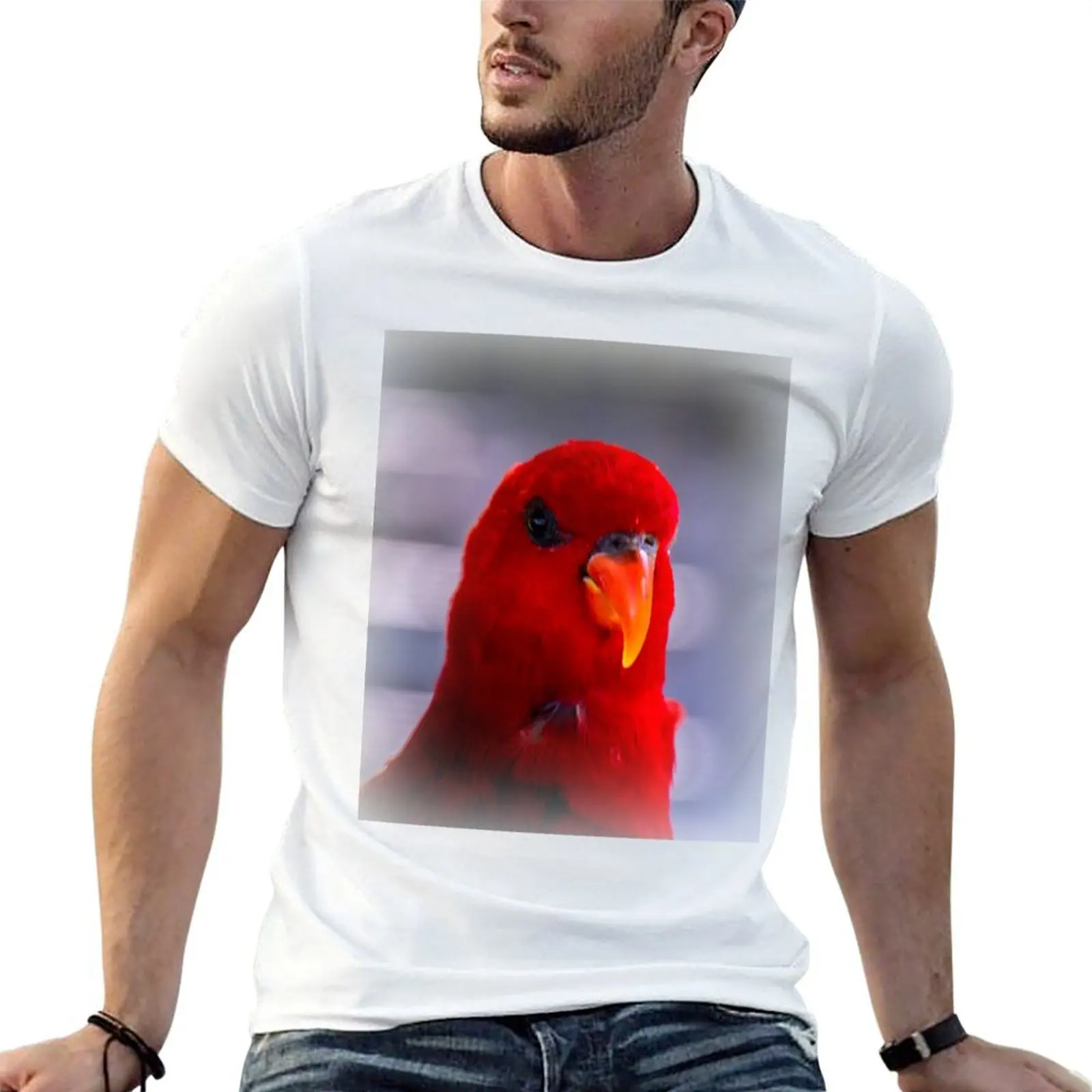 Red lory T-Shirt essential t shirt mens graphic t shirts man graphic t shirt T-shirt