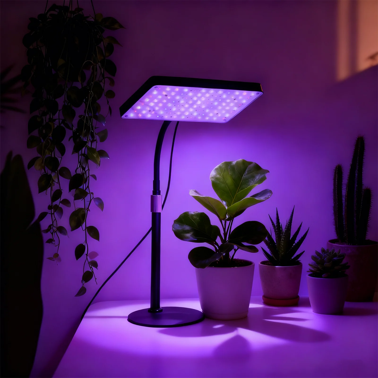 

Table Top Plant Light for Seed Starting, Grow Light, Bright for Bonsai,Succulents, Vegetables, Brightness and height adjustable