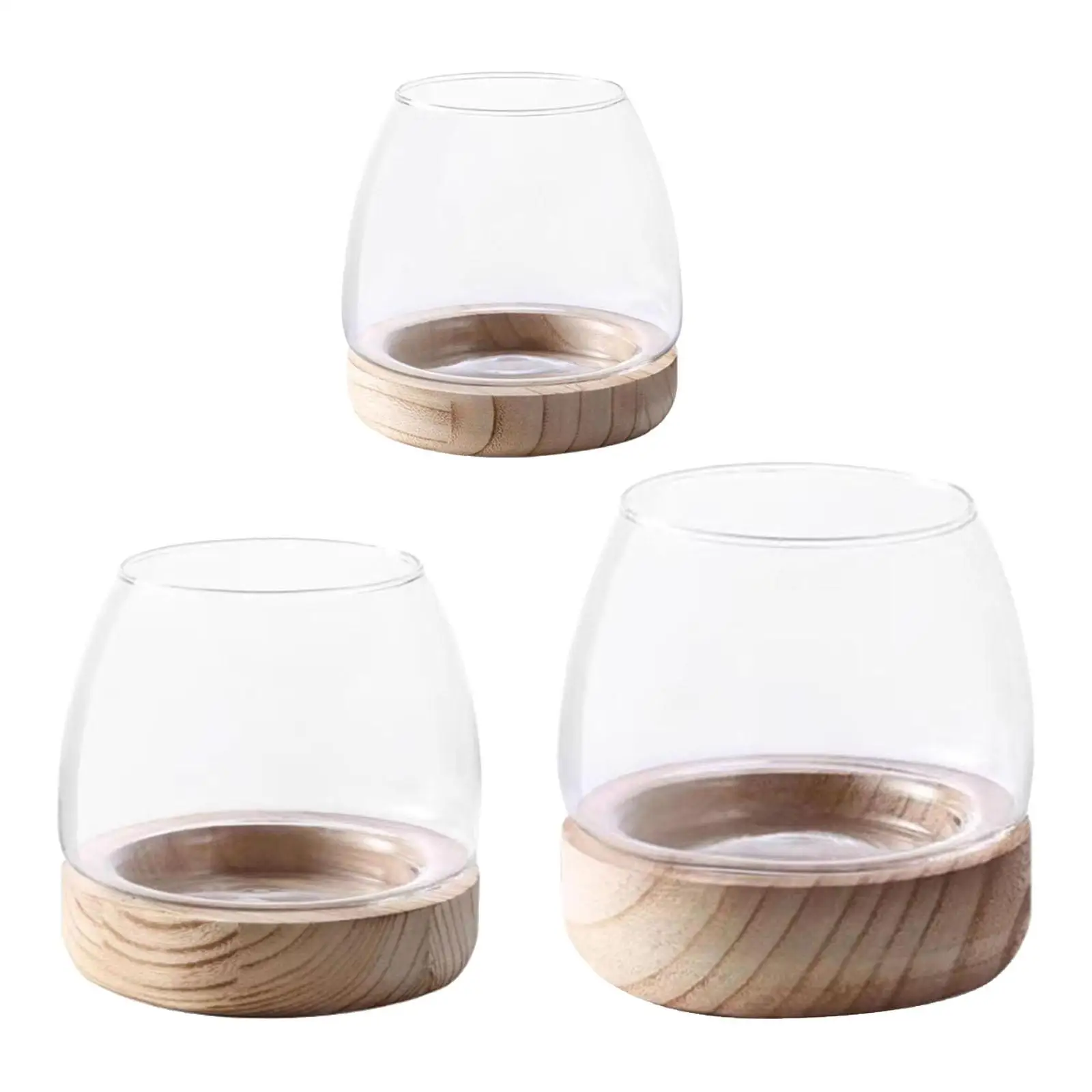 Sleek Glass Planter Set on Wooden Stand for Stylish Home Decor