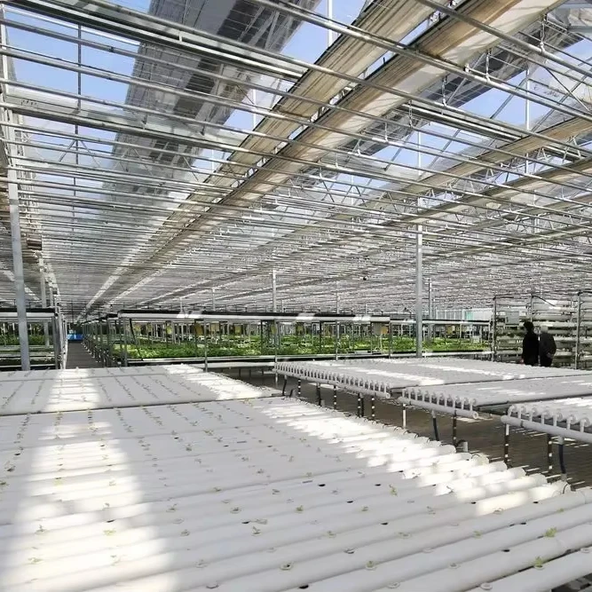 

Customized greenhouseLeaf Vegetable Horizontal Mode NFT Pipeline Hydroponic Cultivation System Greenhouse with PC Glass Film Cov