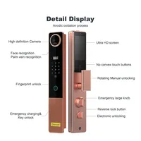 Golden Supplier Tuya Wifi Smart Palm Vein 3D Face Recognition Fingerprint Door Electronic Mortise Lock With Camera