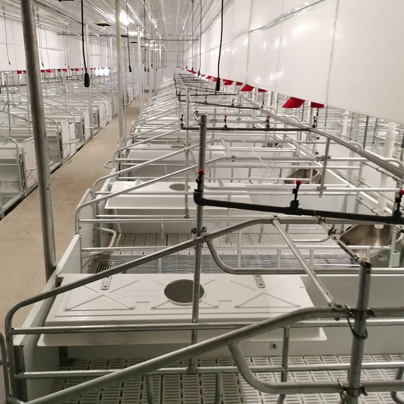 High quality Professional Customized size hog farrowing crates for sale