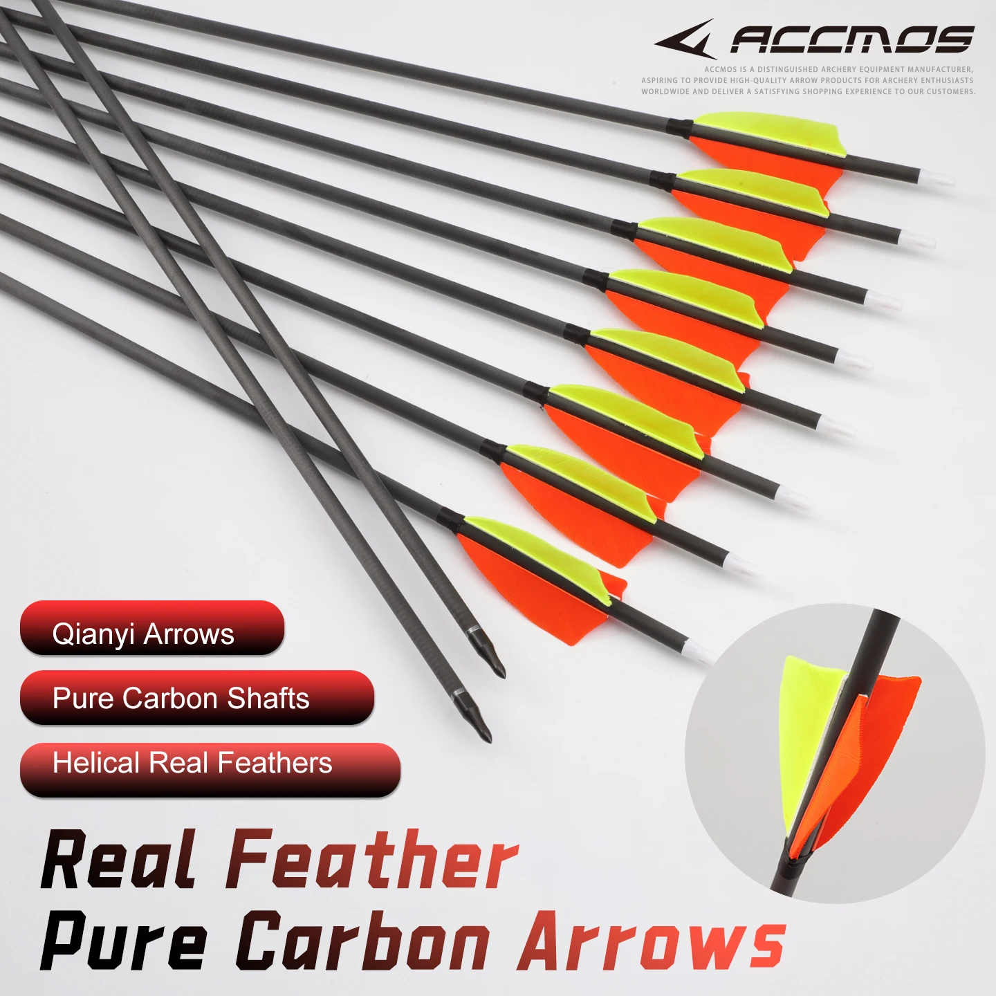 

6.2mm Pure Carbon Arrows Spine 300-800 for Recurve Bow Hunting, 31/30/28 Inch Cut-to-Size, 80gr Points & L Nocks, 6/12 Pcs Pack