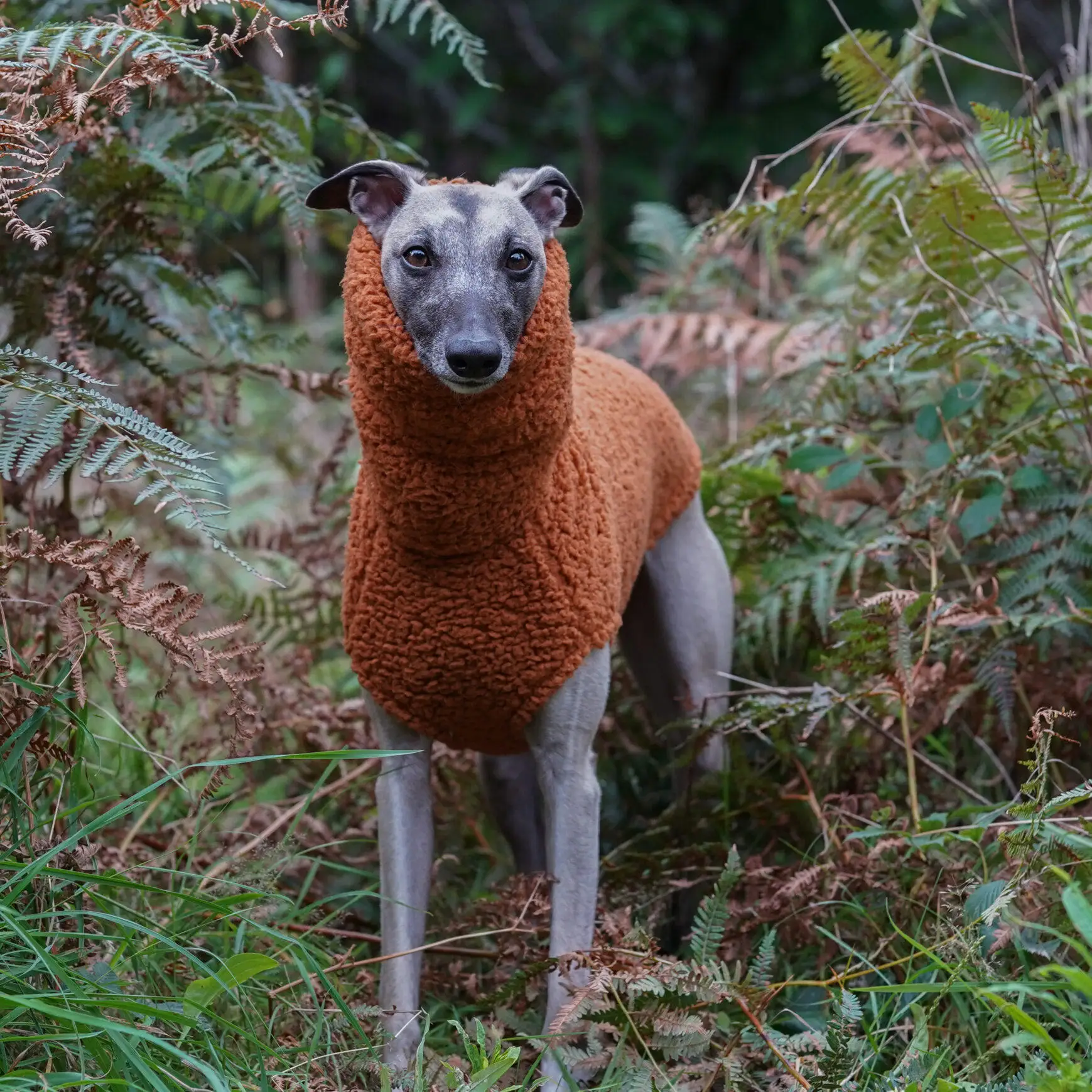 Winterlicher orangefarbener Fleece-Pullover für Whippet-Hunde, hochgeschlossener, dicker, warmer Sweatshirt mit Ärmeln für ungarische spanische Windhundkleidung – Detail 6