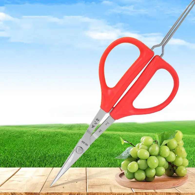 Grape Scissors Tweezers Gardening Tool Scissors 2-in-1 Branch Bonsai Scissors With Tweezers Fruit Grape Picking Grape Scissor