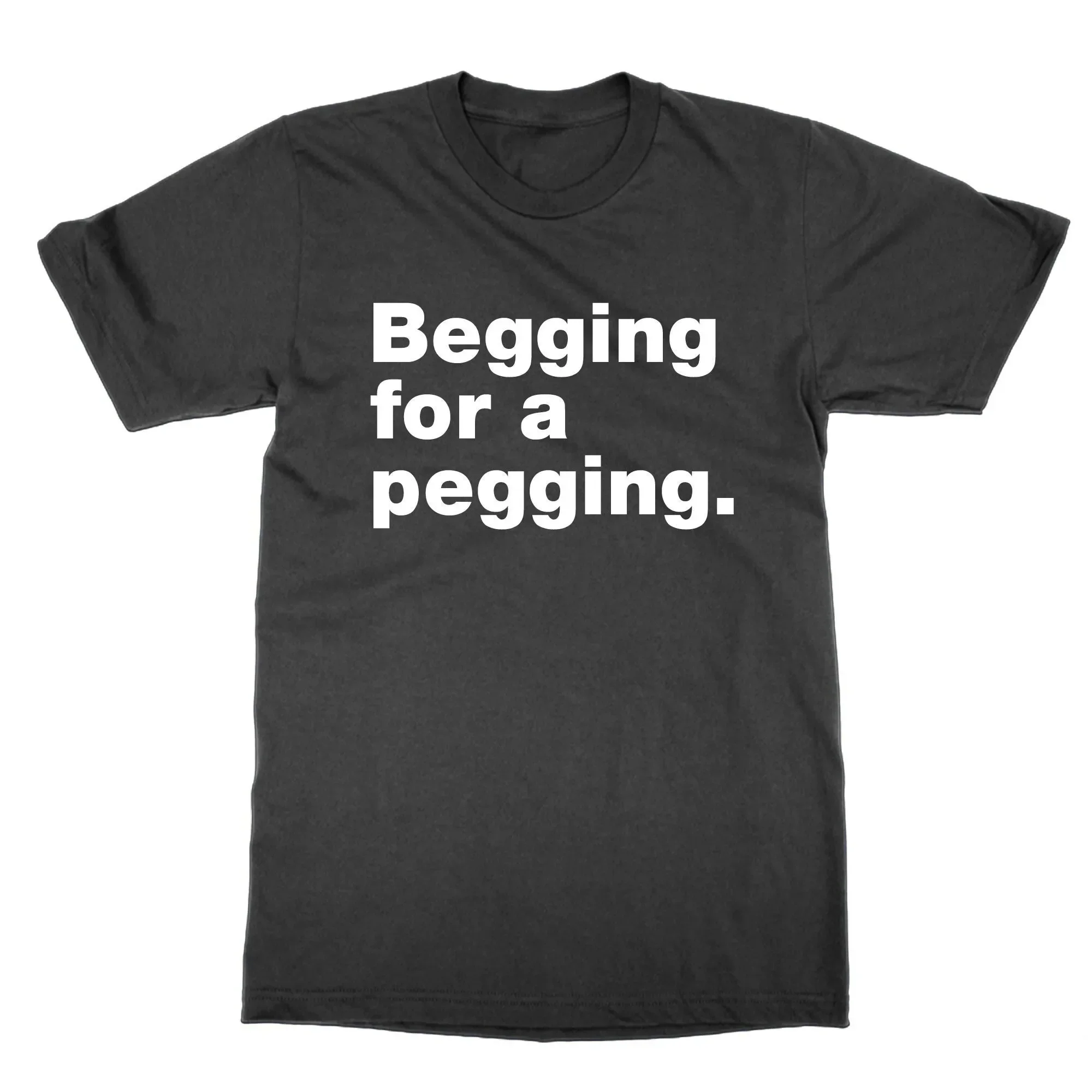 Begging for a Pegging T Shirt funny novelty top