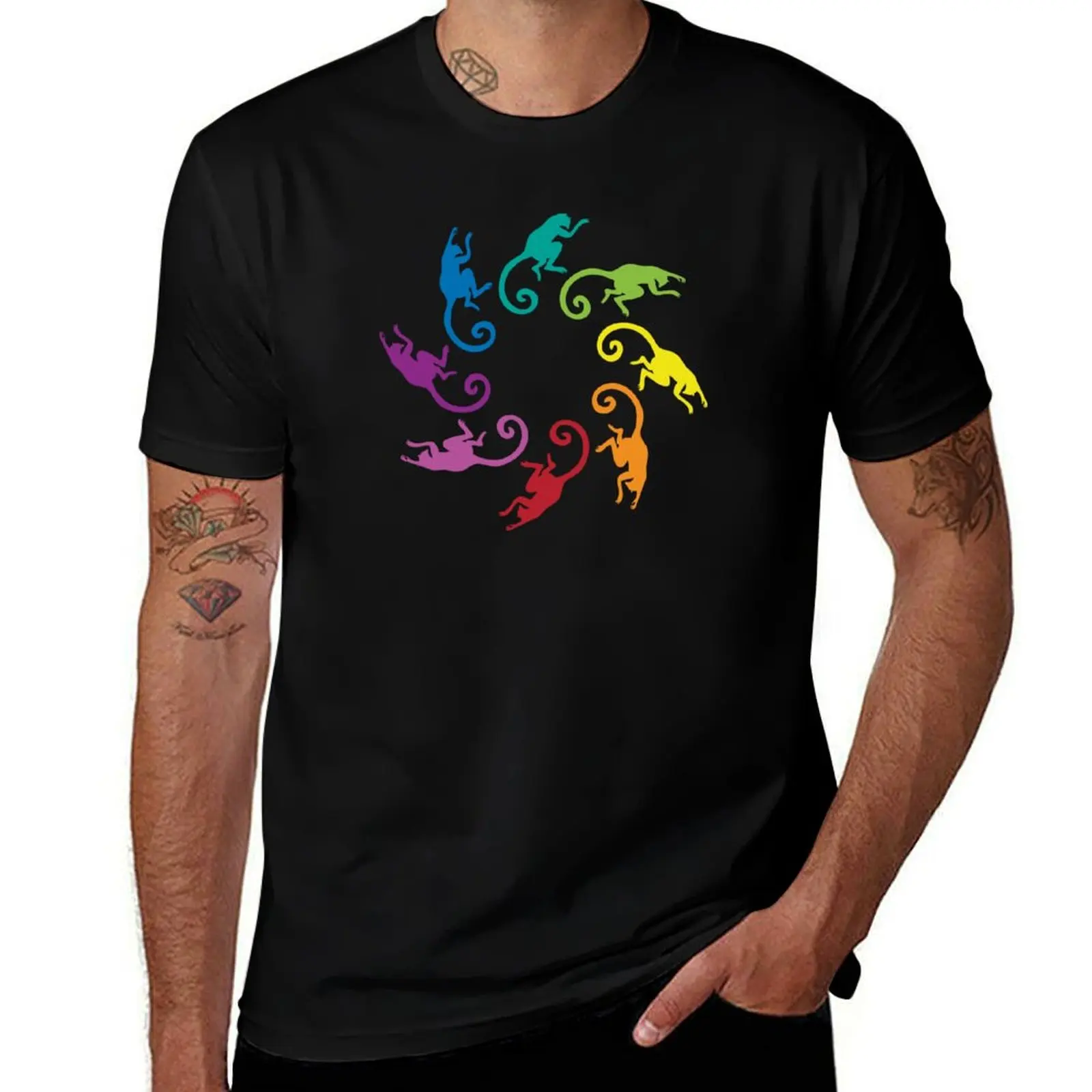 Color: Lemur Rainbow Pinwheel T-Shirt Sun Protective Outdoor Tee Top T-Shirt