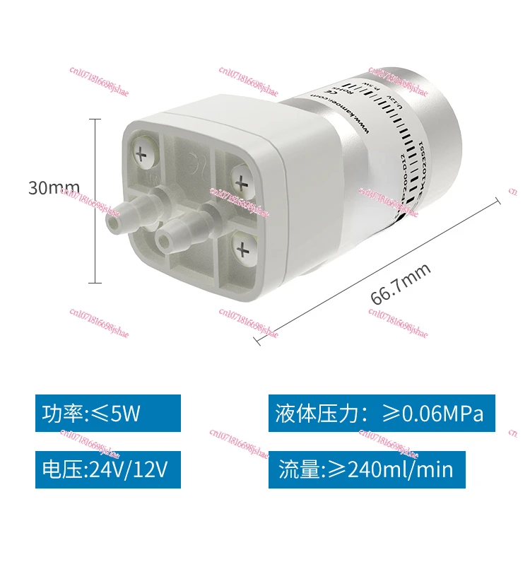 Miniature Gear Pump 12V DC Plastic Mini Electric Small Water Pump High Pressure Water Pump