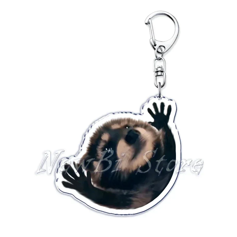 Cute Fun Dancing pedon Raccoon Meme portachiavi in acrilico anello per accessori borsa ciondolo portachiavi gioielli fan regali