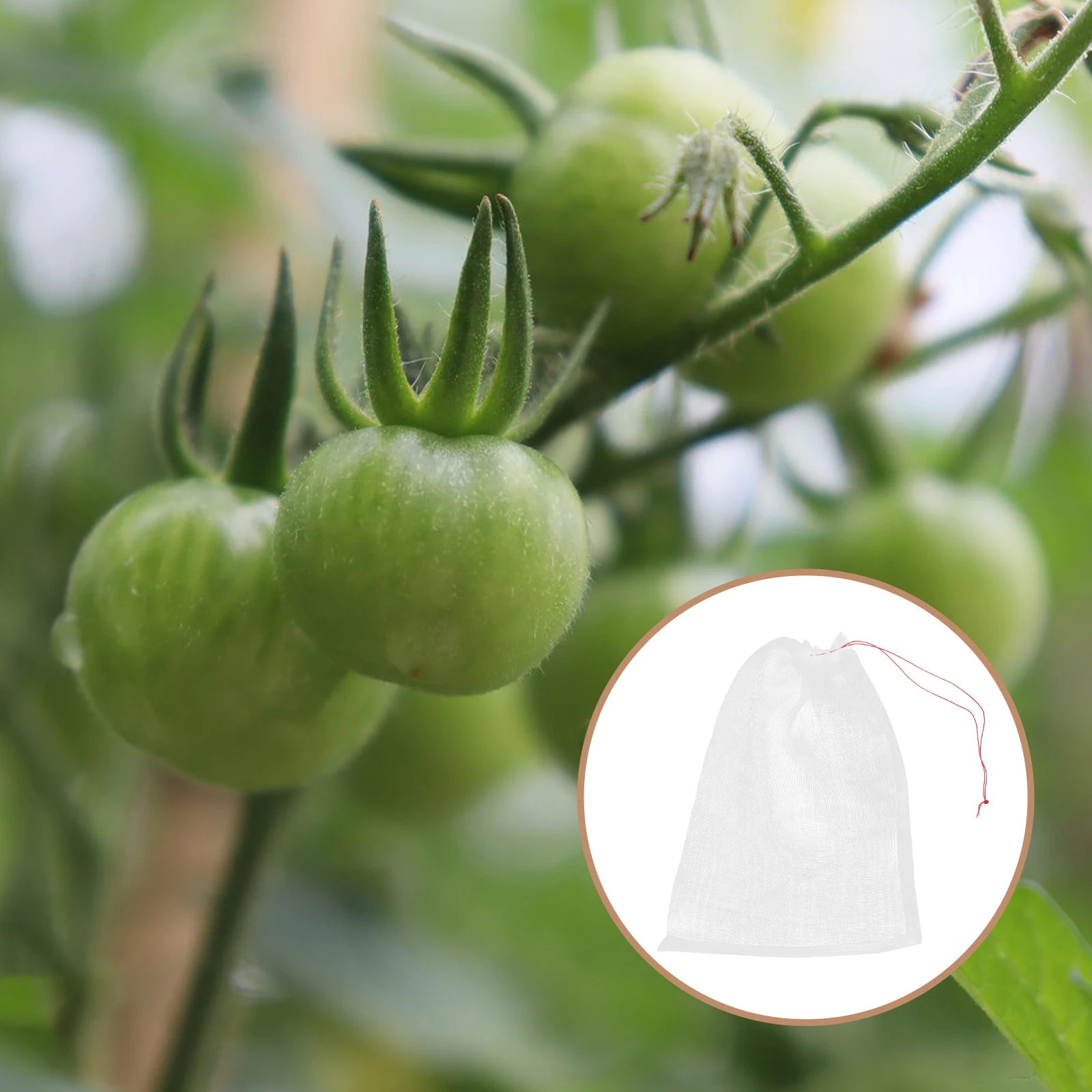 25 Pcs Bird and Insect-proof Mesh Bag Fruit Protect Grape Netting Portable Nylon Flowers Plant