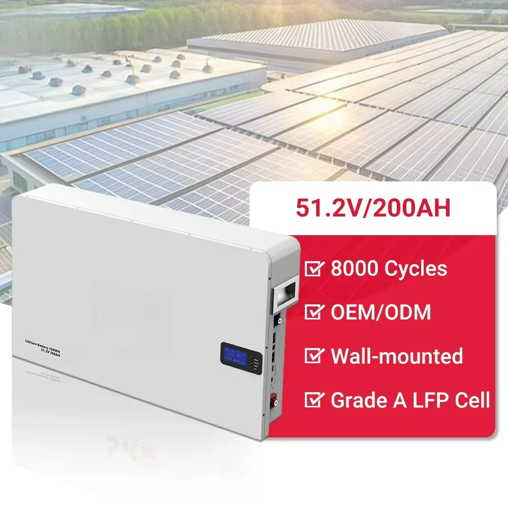

Household energy storage 10KWh 200Ah lithium iron phosphate battery pack 51.2V hybrid power grid wall-mounted metal box CAN