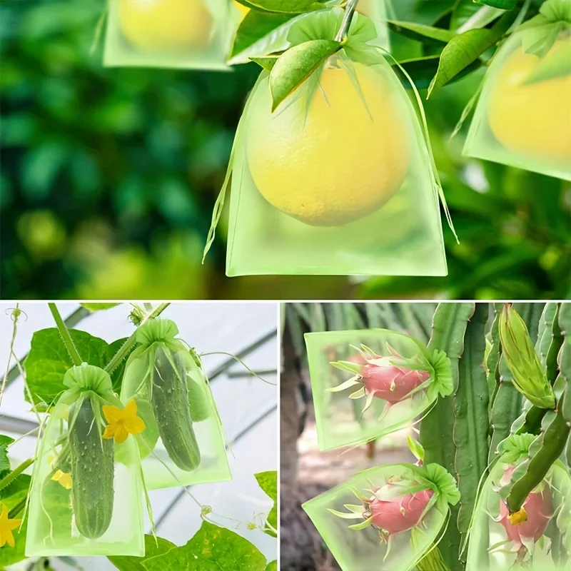 100Pcs Green Protective Bag with Zipper,fruit Trees, Transparent Mesh Barrier for Plants, Perfect for Gardening and Pest Control view 2