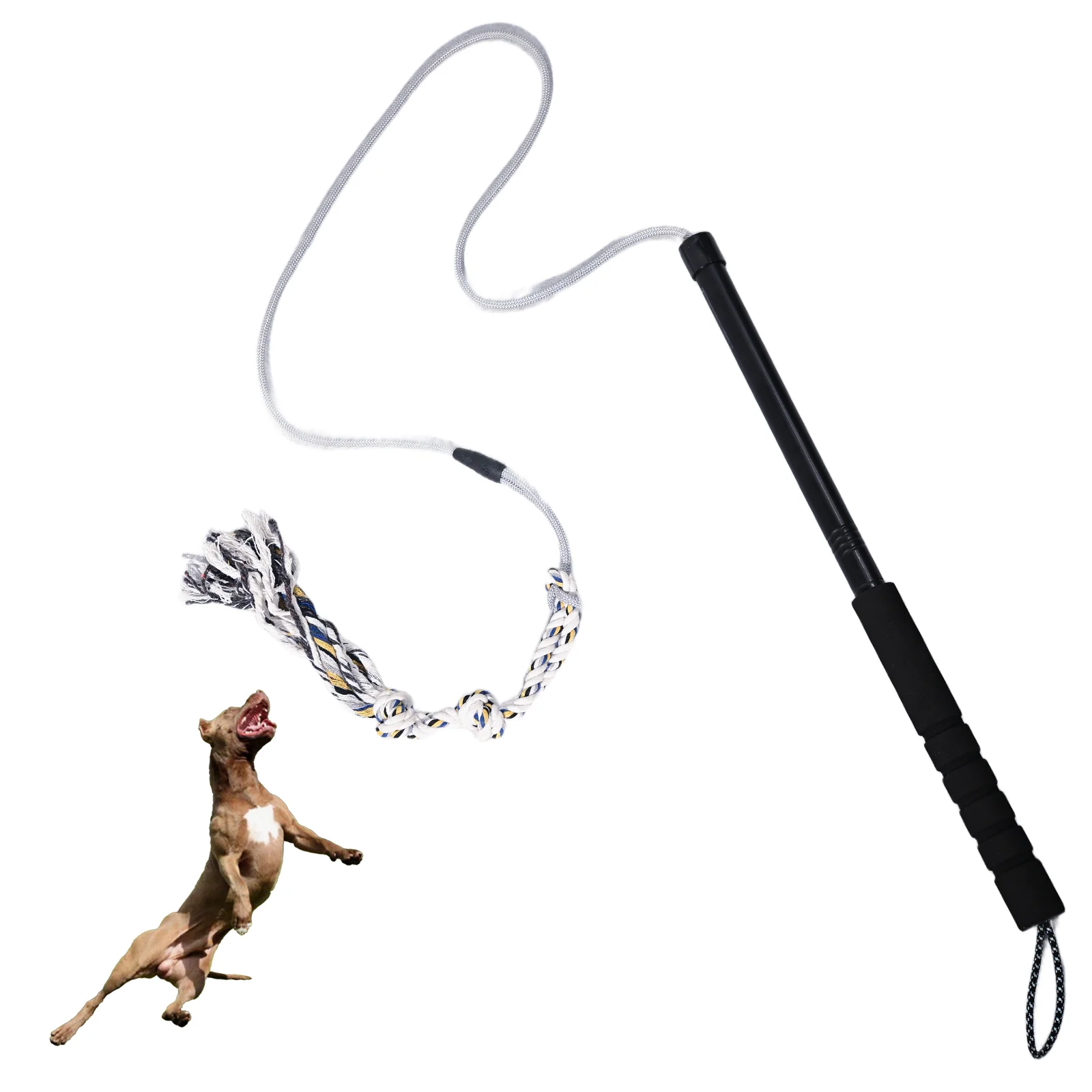 #21 Latest Puppy Rope Toys Offers