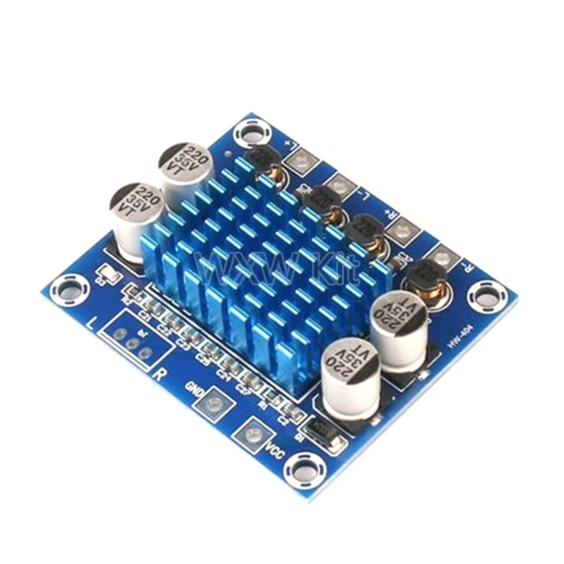 Official TPA3110 XH…