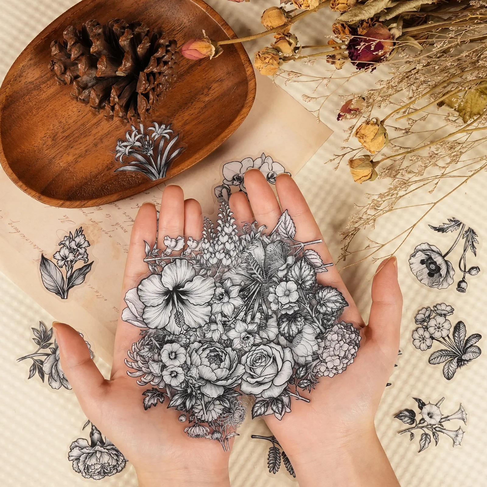 

10/56PCS Black White Plants and Flowers Transparent Graffiti Stickers Aesthetics PET Cartoon Decal Luggage Phone Guitar Kid Toys