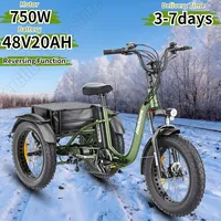 Hidoes Electro Tricycle Folding 750W Motor 48V20AH Lithium Battery City Electric Trike Adult 20*4.0 Inch Fat Tire Snow E-Trike