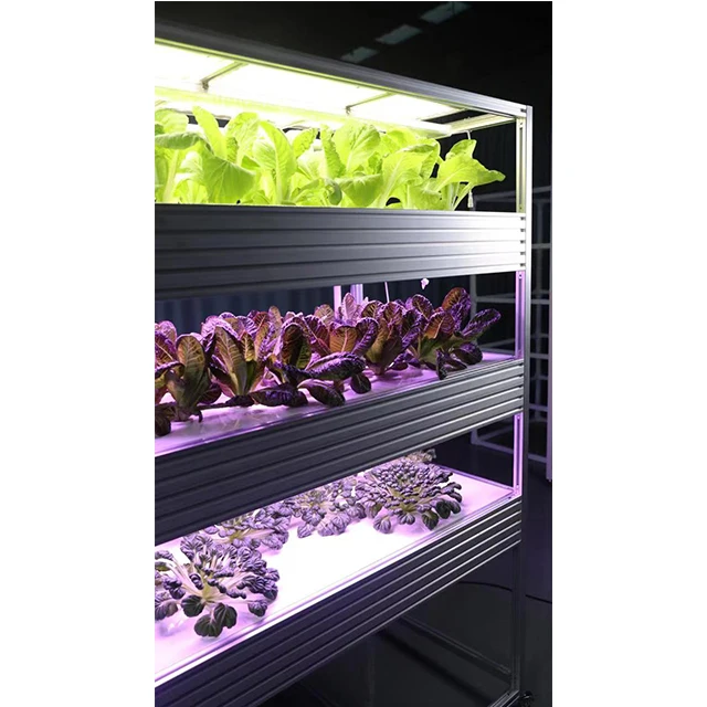 Wholesale Best Aluminium  Frame Indoor Vertical Hydroponic Growing System Garden