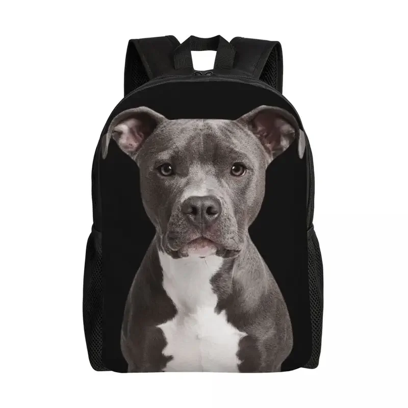 Mochilas personalizadas americanas Pit Bull Terrier para hombres y mujeres, resistente al agua, bolsa escolar para la universidad, bolsa de libros estampada