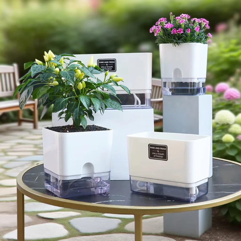 Keep Plants Healthy While Traveling with a Self Watering Plant Pot