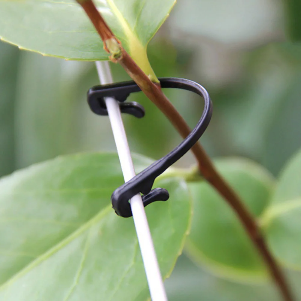 50pcs Grape Vines Tied Buckles Plastic Plant Stolons Fixed Lashing Hook Stems Strapping Clips for Garden Greenhouse