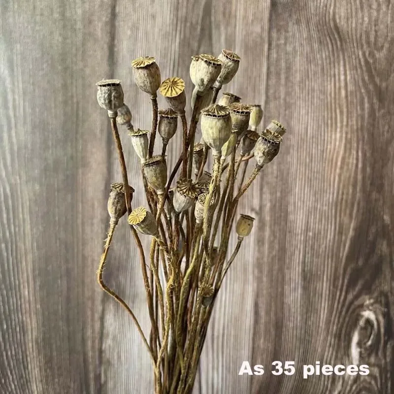 0.5-1.2CM Head/35 Flowers Heads,Real Dried Natural Flowers Small Yu Meiren Fruit Branch,DIY Eternal Dry Fruits Flower,Home Decor