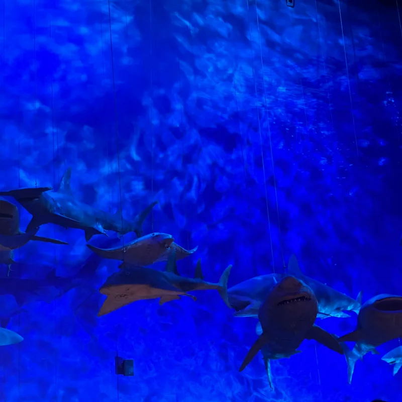 

4Pcs 90Mm Rubber Tires Tyre Wheel For Wltoys 144001 124019 12428 104001 HBX 16889 SG1601 RC Car Upgrade Parts