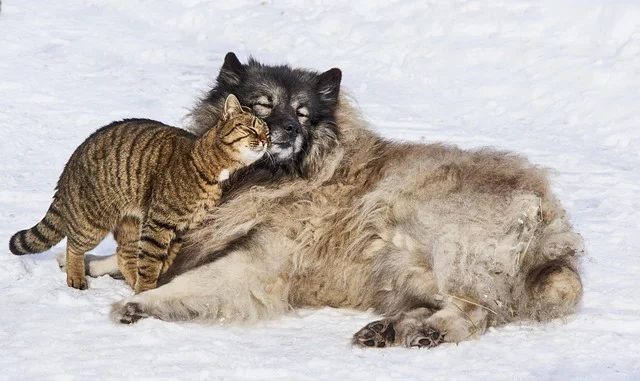 

ᶜᵒⁿᶠⁱᵈᵉⁿᶜᵉ