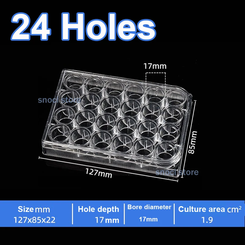 

24 Well Culture Plate Culture Plate 24 Well with Lid Flat Bottom for cell monolayer culture detect protein experimental analysis