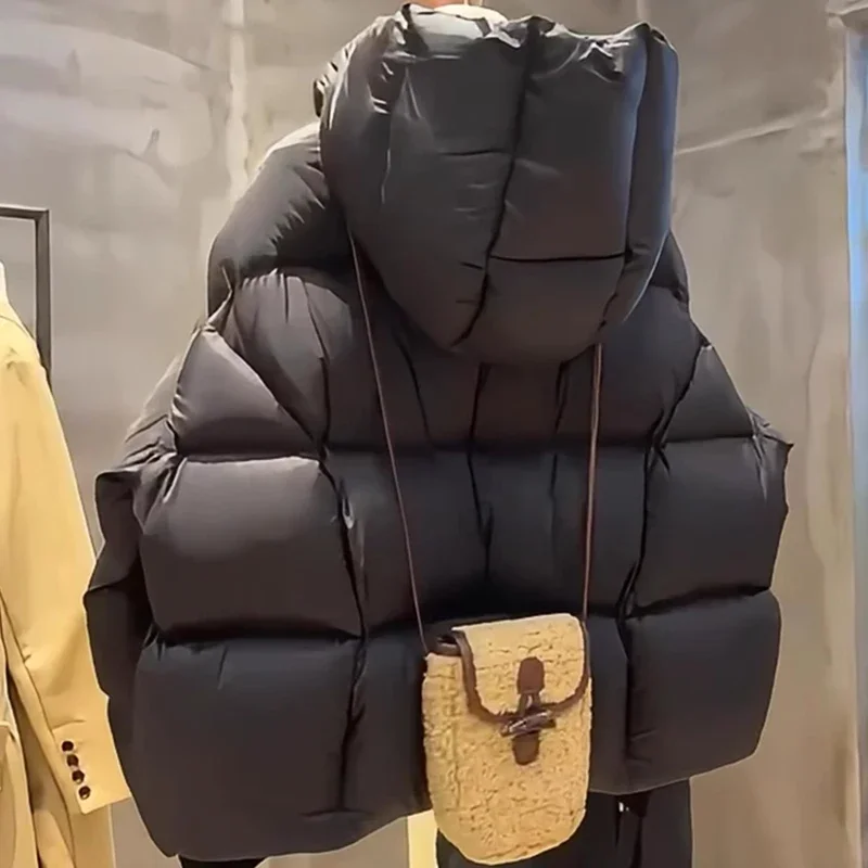 أزياء المرأة أسفل السترات 2025 جديد الإناث الوقوف طوق سترة منفوخة عارضة فضفاض مقنعين سترات